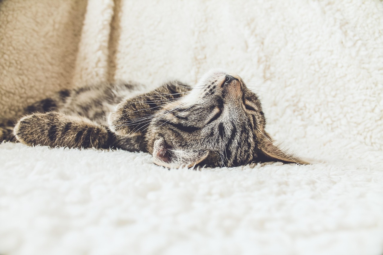 Troppo giovani per essere stanchi? Il burnout adolescenziale